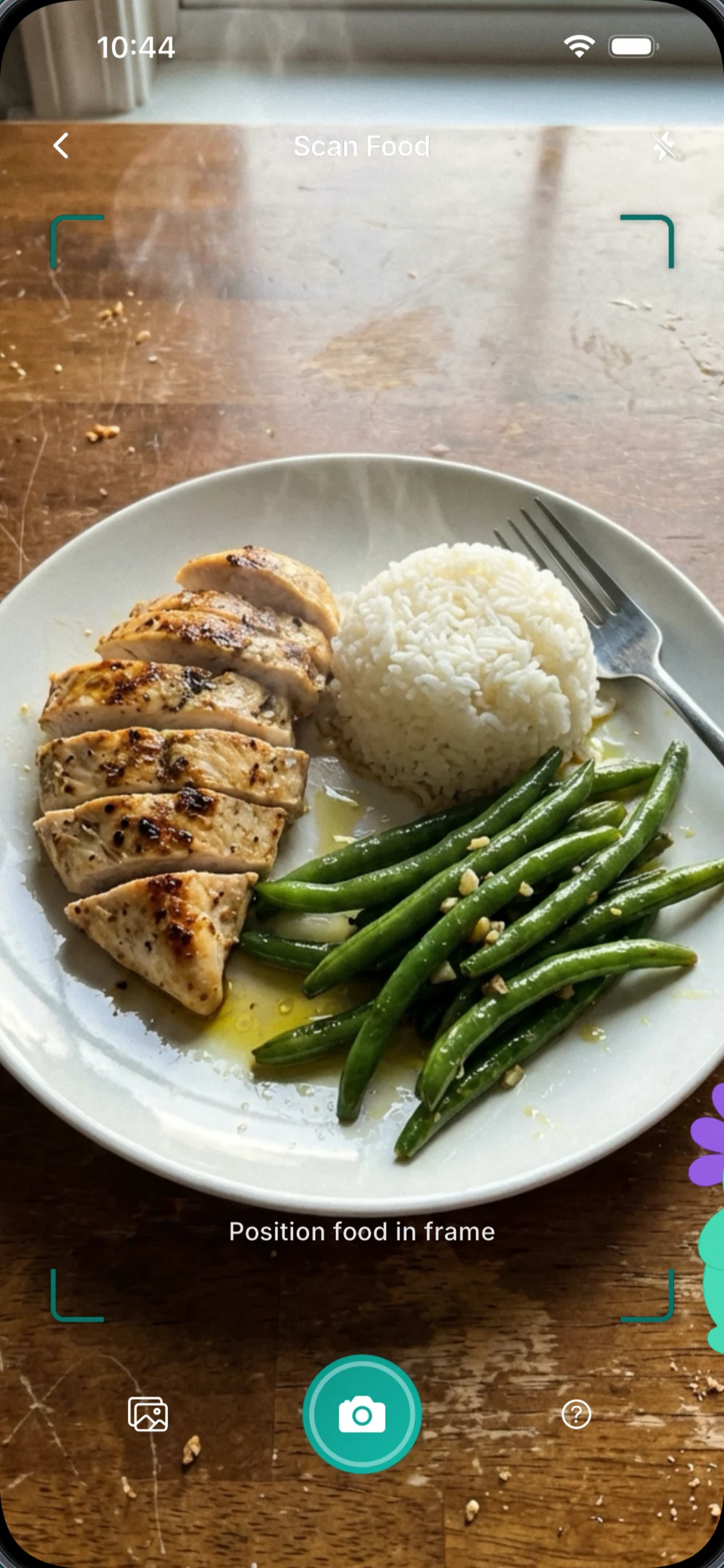 Liverly camera framing a plate of grilled chicken, rice and green beans